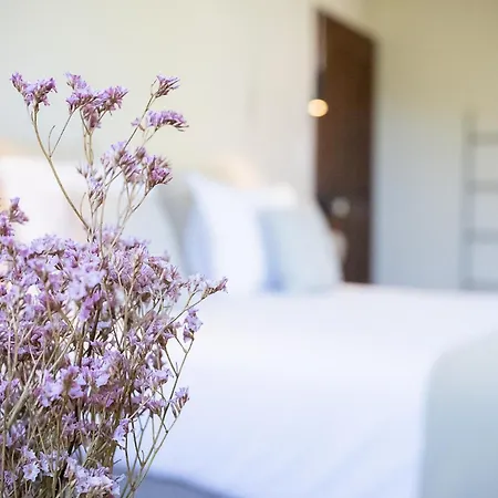 Couvent De La Salette &