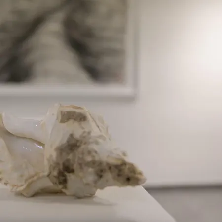 Couvent De La Salette & מלון 3*