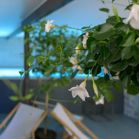 Couvent De La Salette & מילאו