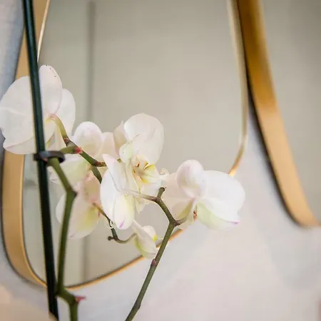 Couvent De La Salette & 3* מילאו