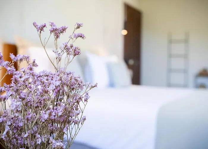 Couvent De La Salette &