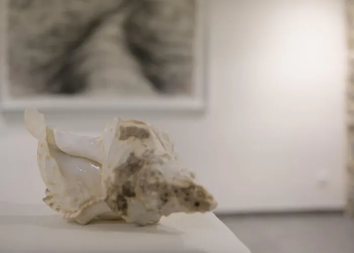 Couvent De La Salette & فندق 3*