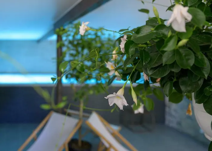 Couvent De La Salette & مييو